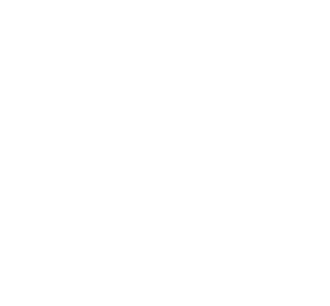 Slefty